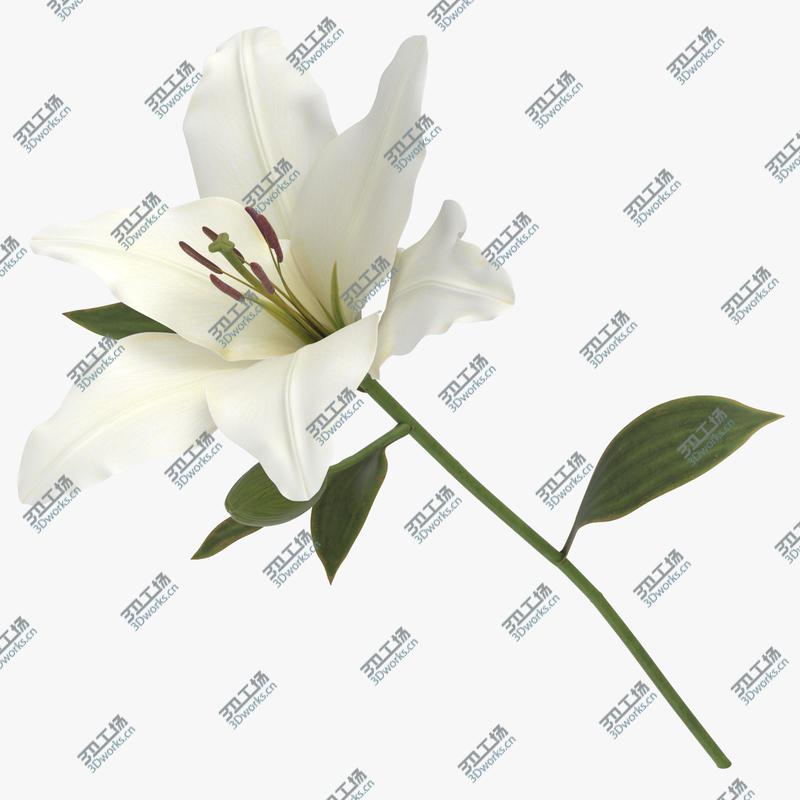 images/goods_img/2021040163/Lilium - White 3D model/1.jpg